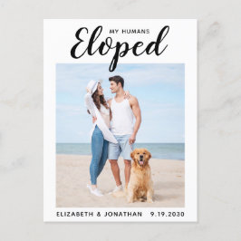 Cartão Postal De Anúncio Elopemento De Casamento De Cães Personalizados Que