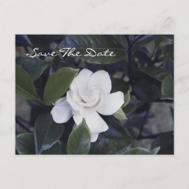 Cartão Postal De Anúncio Enchanting Gardenia Save The Date Postcard