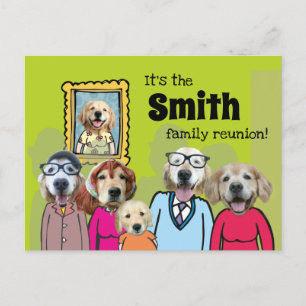 Cartão Postal De Anúncio Encontro Familiar Engraçado do Cão Retriever Doura