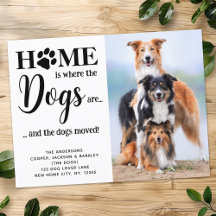 Endereço Novo Moderno Personalizado Foto Cachorros