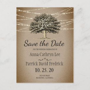 Cartão Postal De Anúncio Enraizadas no Amor Luzes de Cordão de Árvore Rústi