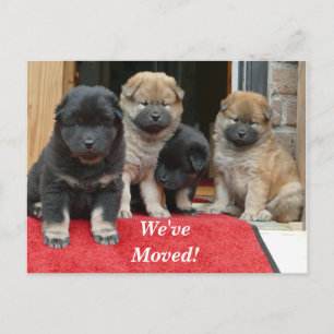 Cartão Postal De Anúncio Espanhol tibetano, movemos novo cartão-postal de e