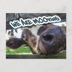 Cartão Postal De Anúncio Estamos Mooving