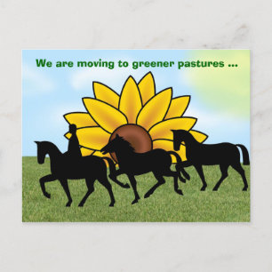 Cartão Postal De Anúncio Estamos nos mudando com cavalo & girassol Novo end