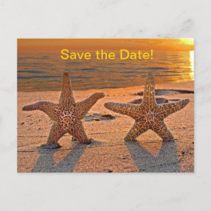 Cartão Postal De Anúncio Estrela-do-mar Salve a Data
