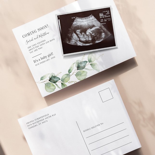 Cartão Postal De Anúncio Eucalyptus Succulnancy Baby Reveal (Baby Reveal Sonogram Eucalyptus Pregnancy Announcement)