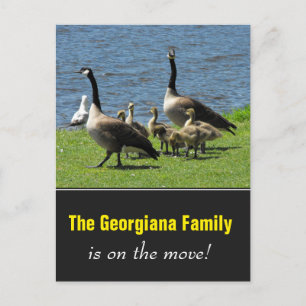 Cartão Postal De Anúncio Família em Movimento + Gansos do Canadá na Grama