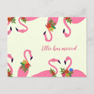 Cartão Postal De Anúncio Flamingos Diversos Novo Endereço