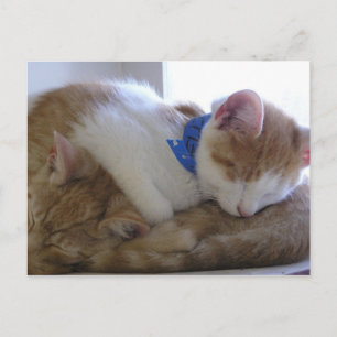 Cartão Postal De Anúncio Flemming & Finley