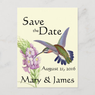 Cartão Postal De Anúncio Flor de Aves Hummingbird Salvar Data