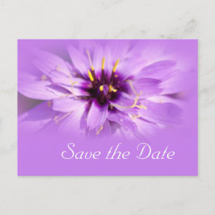 Cartão Postal De Anúncio Flor de margarida roxa elegante salva cartão posta