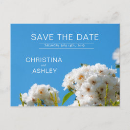 Cartão Postal De Anúncio Floral de rosa branca