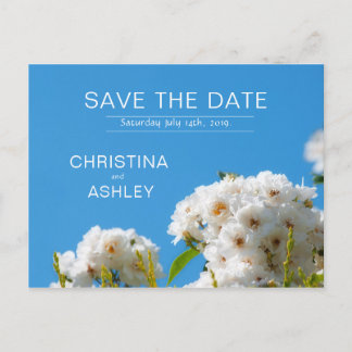 Cartão Postal De Anúncio Floral de rosa branca