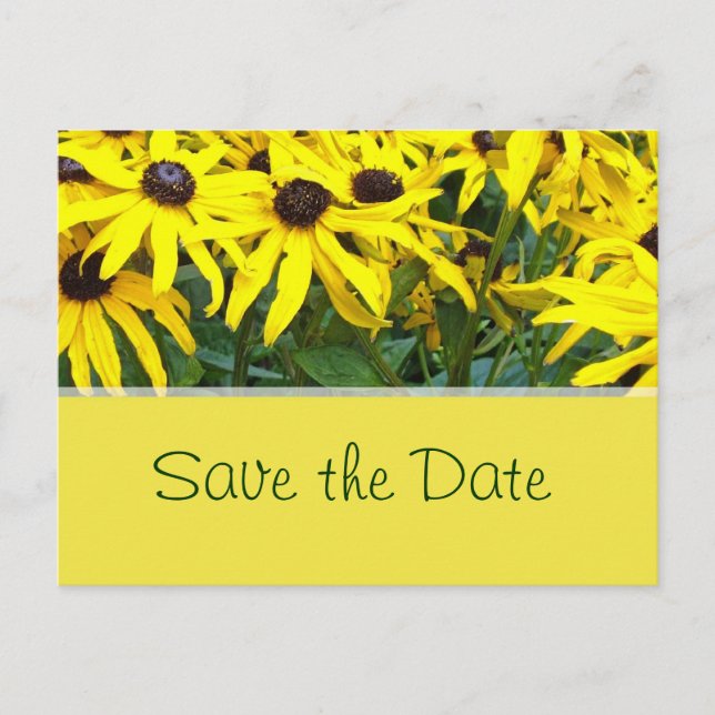 Cartão Postal De Anúncio flores amarelas brilhantes da margarida do verão s (Frente)