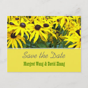 Cartão Postal De Anúncio Flores de margarida amarelas brilhantes de verão s