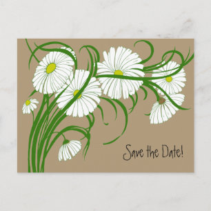 Cartão Postal De Anúncio Flores de Margaridas Gerbera Brancas Vintage Salve
