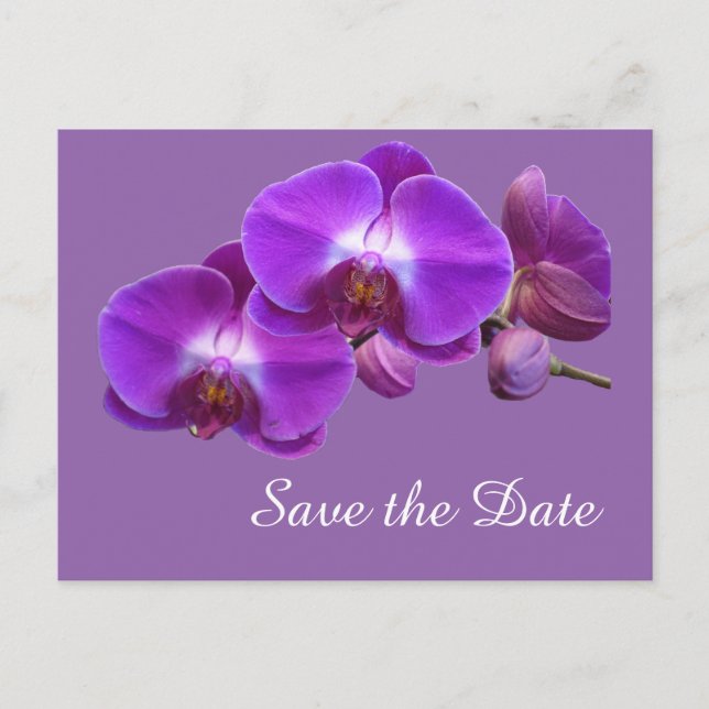 Cartão Postal De Anúncio Flores de orquídea roxa elegantes salvam a data (Frente)