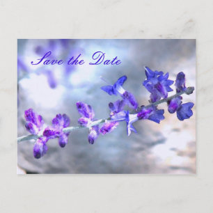Cartão Postal De Anúncio Flores Roxas Salvem a Data