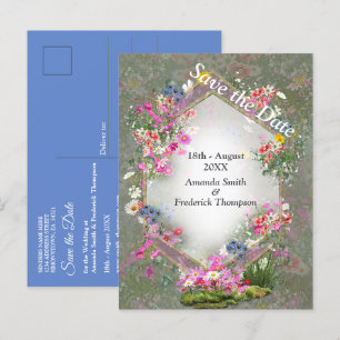 Cartão Postal De Anúncio Flores Silvestres de Cosmos