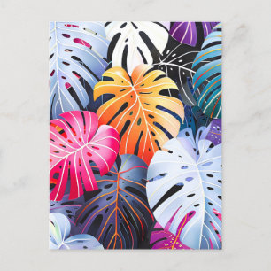 Cartão Postal De Anúncio Folhas de Monstera Tropical de Verão