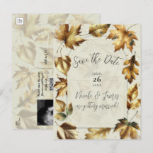 Folhas Douradas Amêndoa Bege Creme Outono Salve a 