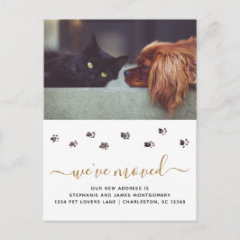 Cartão Postal De Anúncio Foto de animal de estimação fofo personalizada mud