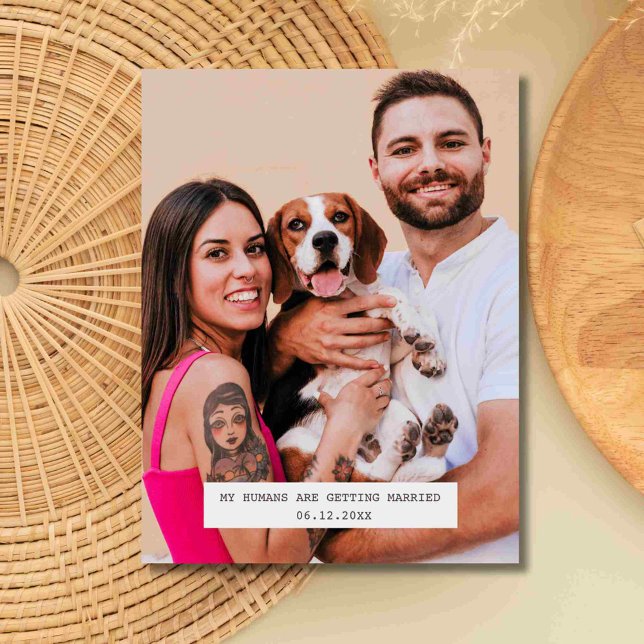 Cartão Postal De Anúncio Foto de cachorro engraçado para salvar a data do c (Funny Dog Photo Wedding Save the Date )