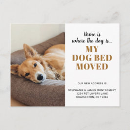 Cartão Postal De Anúncio Foto de cachorro engraçado personalizada para pet
