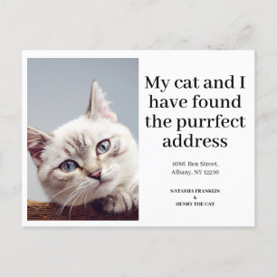 Cartão Postal De Anúncio Foto de Gato de Estimação Novo Endereço Mudei-me M