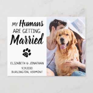 Cartão Postal De Anúncio Foto do Casamento de Cachorro Salvar a Data
