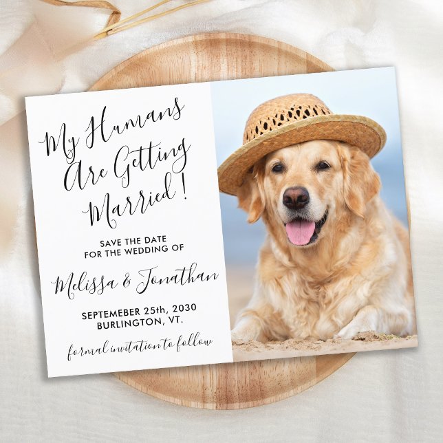 Cartão Postal De Anúncio Foto Moderna Personalizar Casamento De Cachorro Sa (Criador carregado)