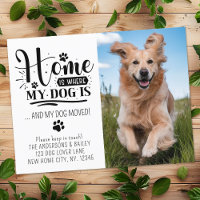 Foto Pet Personalizada Weve Movimentada Novo Cão d
