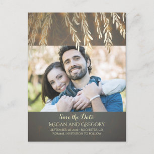 Cartão Postal De Anúncio Fotografia Antiga da Árvore de Salgueiro Dourada S