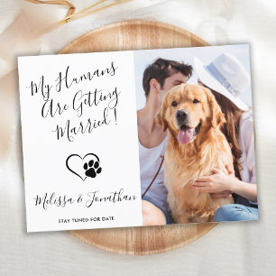 Cartão Postal De Anúncio Fotos Modernas de Animais de Estimação Simples Cas