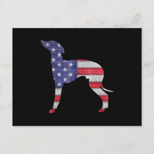 Cartão Postal De Anúncio galgo italiano patriótico bandeira americana borda