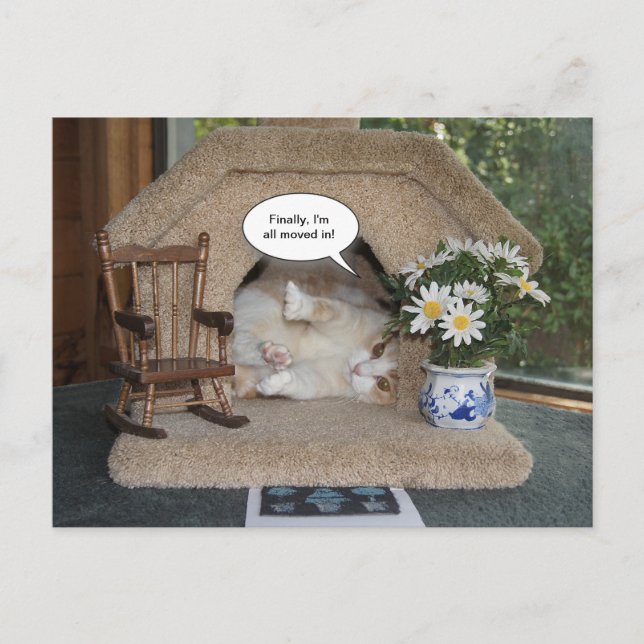 Cartão Postal De Anúncio Gato Engraçado Mudou de Endereço (Frente)