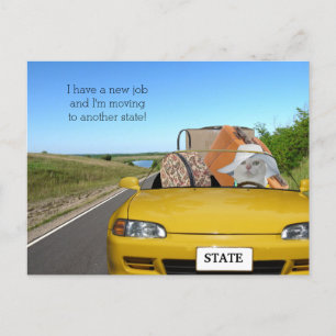 Cartão Postal De Anúncio Gato/Gatinho Engraçado Personalizável se Mudando