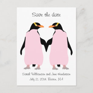 Cartão Postal De Anúncio Gay Salve a data, pinguins rosa