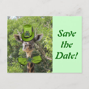 Cartão Postal De Anúncio Girafa Sortuda