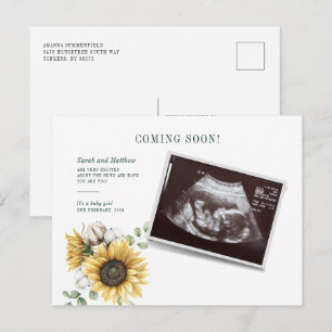Cartão Postal De Anúncio Girassol Floral Eucalipto Sonograma Gravidez