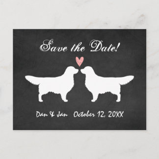 Cartão Postal De Anúncio Golden Retrievers Casamento Salvar a Data