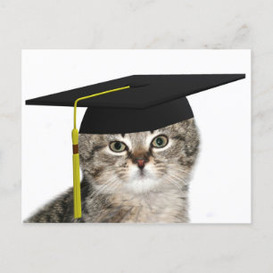 Cartão Postal De Anúncio Graduação de gatinho