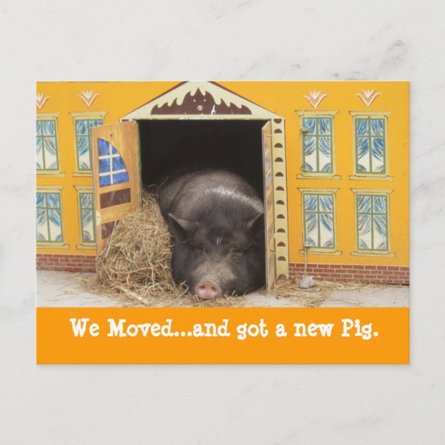 Cartão Postal De Anúncio House e Pig, mudamos novas placas de endereço (Frente)