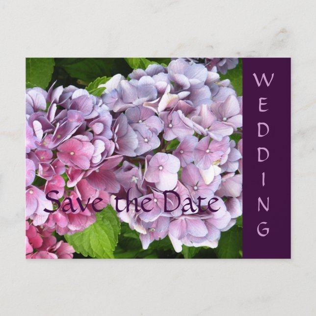 Cartão Postal De Anúncio Hydrangea Wedding Salva o Cartão-Postal de Data (Frente)