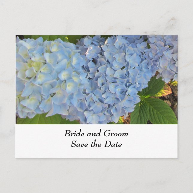 Cartão Postal De Anúncio Hydrangeas de Casamento Azul e Mauve (Frente)