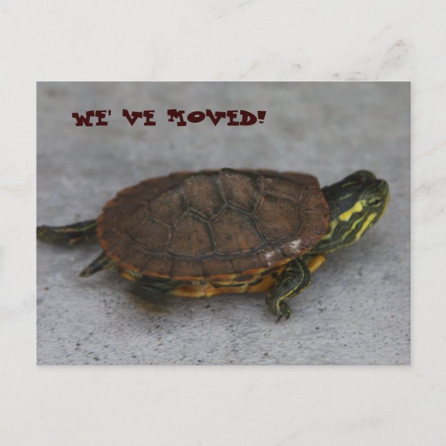 CARTÃO POSTAL DE ANÚNCIO IMG_1195, NOS MUDAMOS! (Frente)