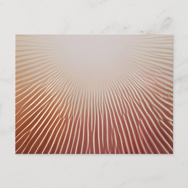 Cartão Postal De Anúncio Impressão de fotos (Frente)