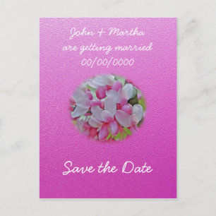 Cartão Postal De Anúncio Itens de Flores de Árvore Redbud