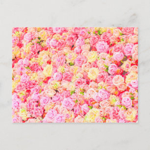Cartão Postal De Anúncio Jardim de rosas