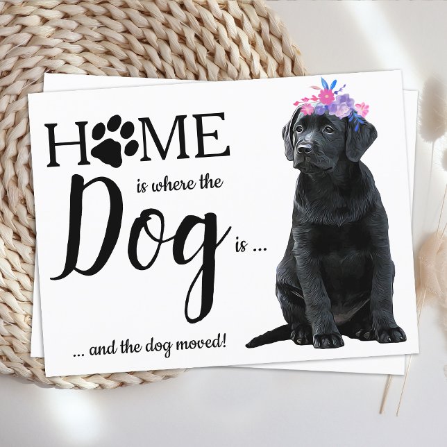 Cartão Postal De Anúncio Labrador Negro, movemos o cão em movimento (Criador carregado)